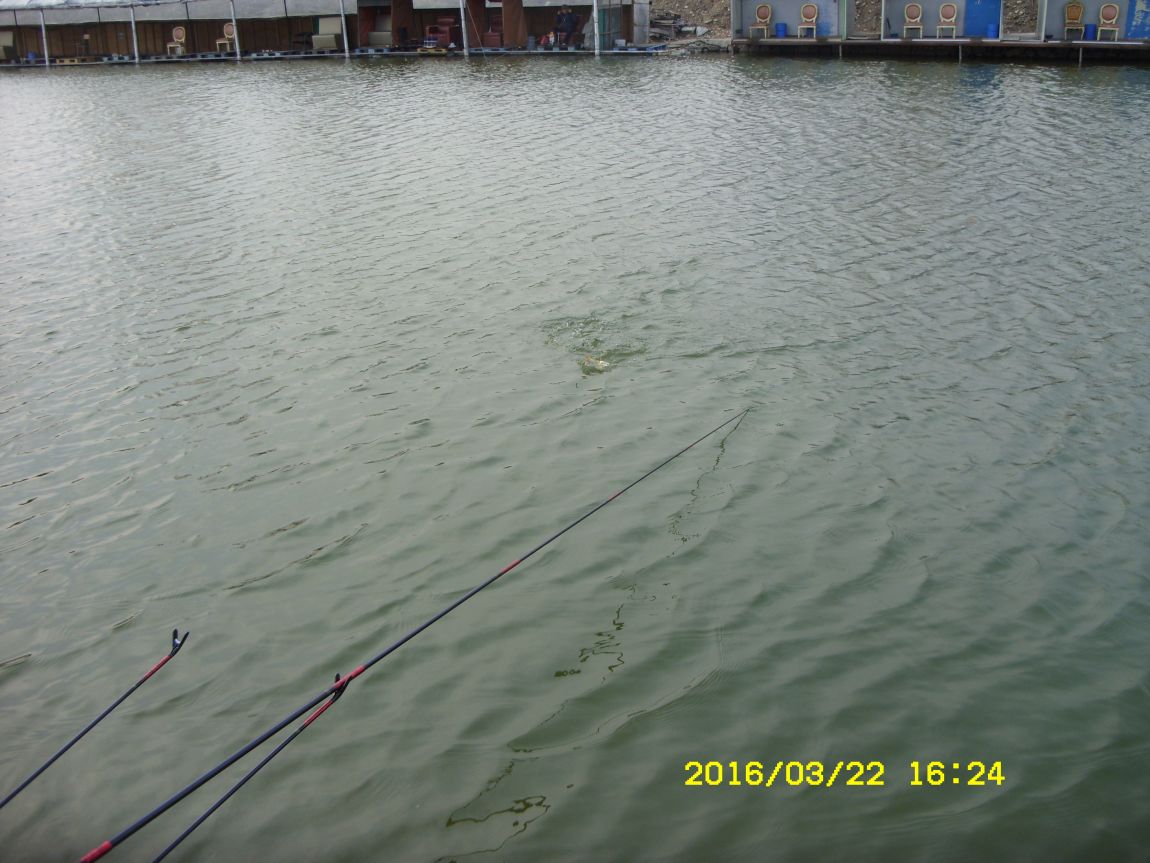 SDC15951.JPG