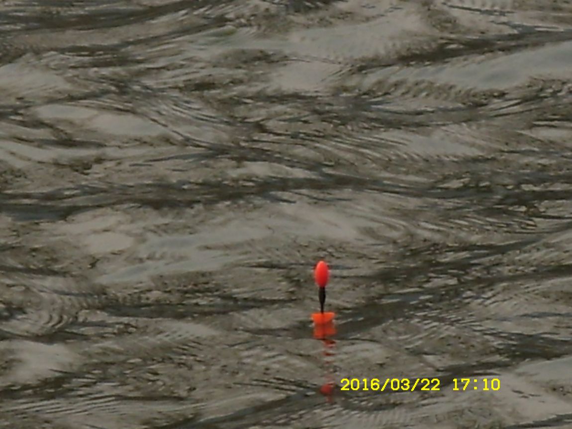 SDC15958.JPG