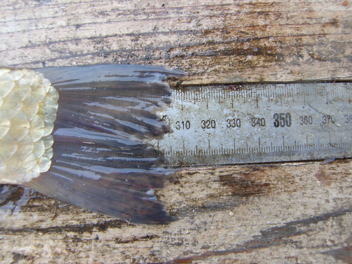 SH101439.JPG