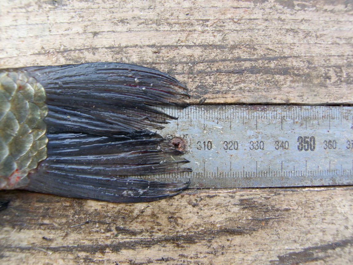 SH101449.JPG