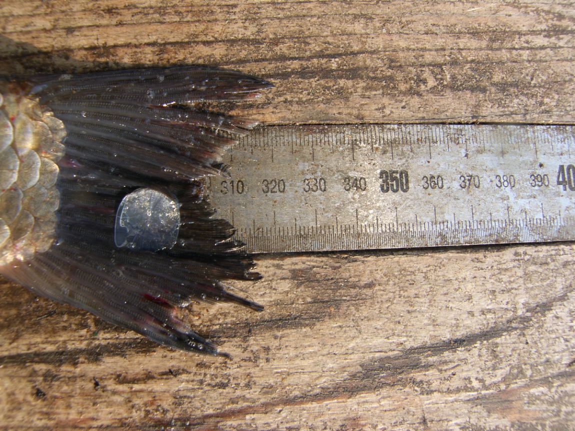 SH101458.JPG