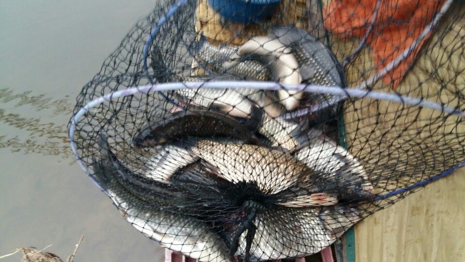 KakaoTalk_20160318_124536232.jpg