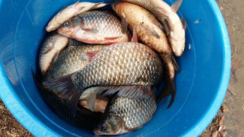 KakaoTalk_20160318_124538212.jpg