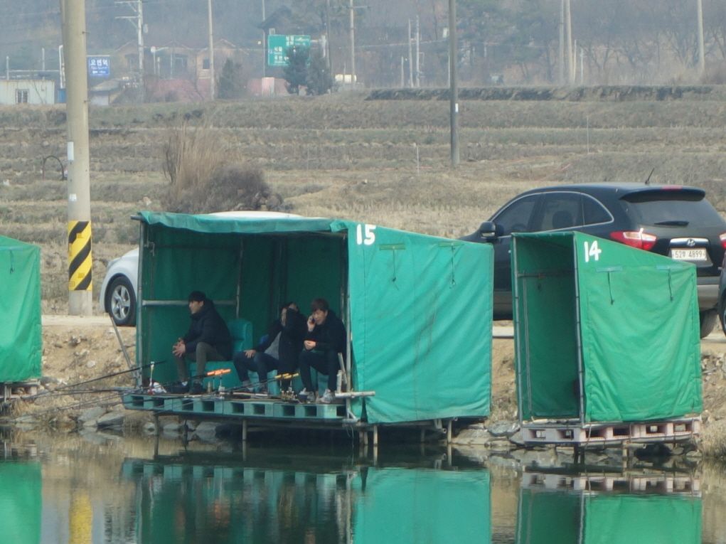 ũ⺯ȯ_DSC07140.JPG