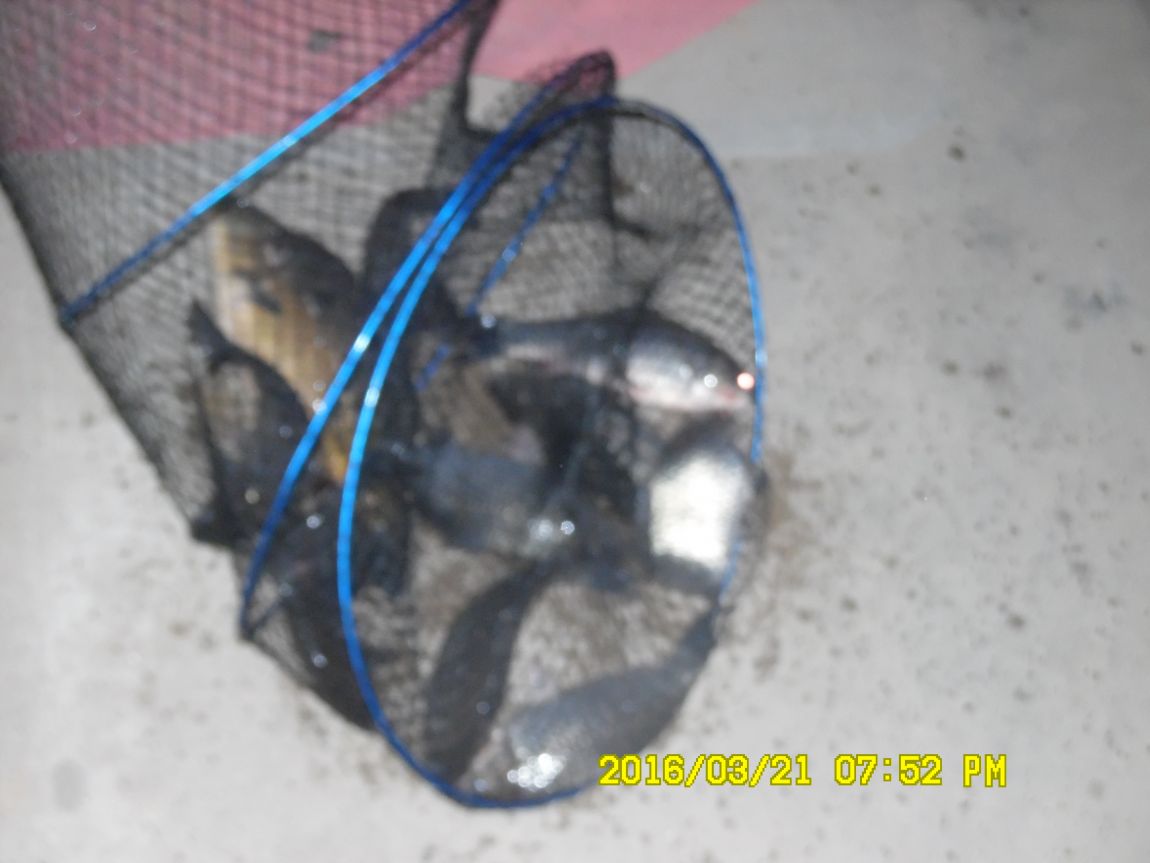 3��24�� 001.JPG