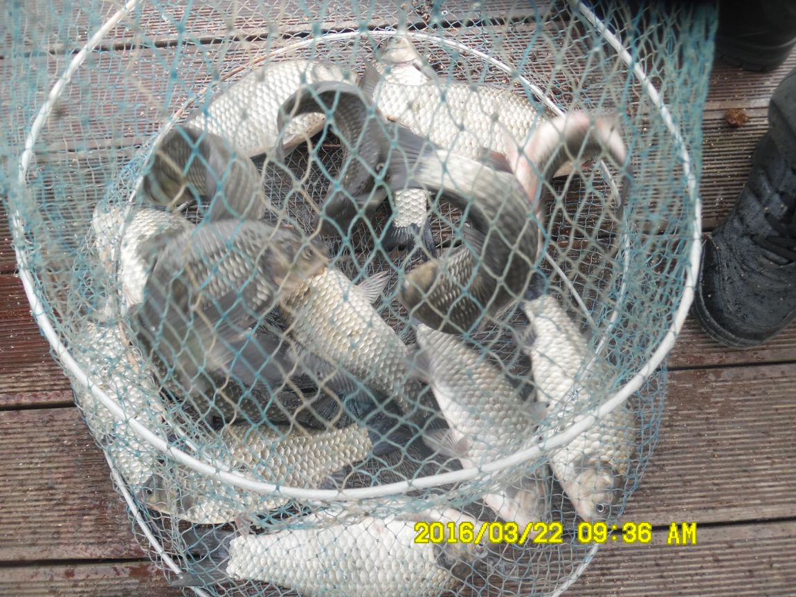 3��24�� 004.JPG