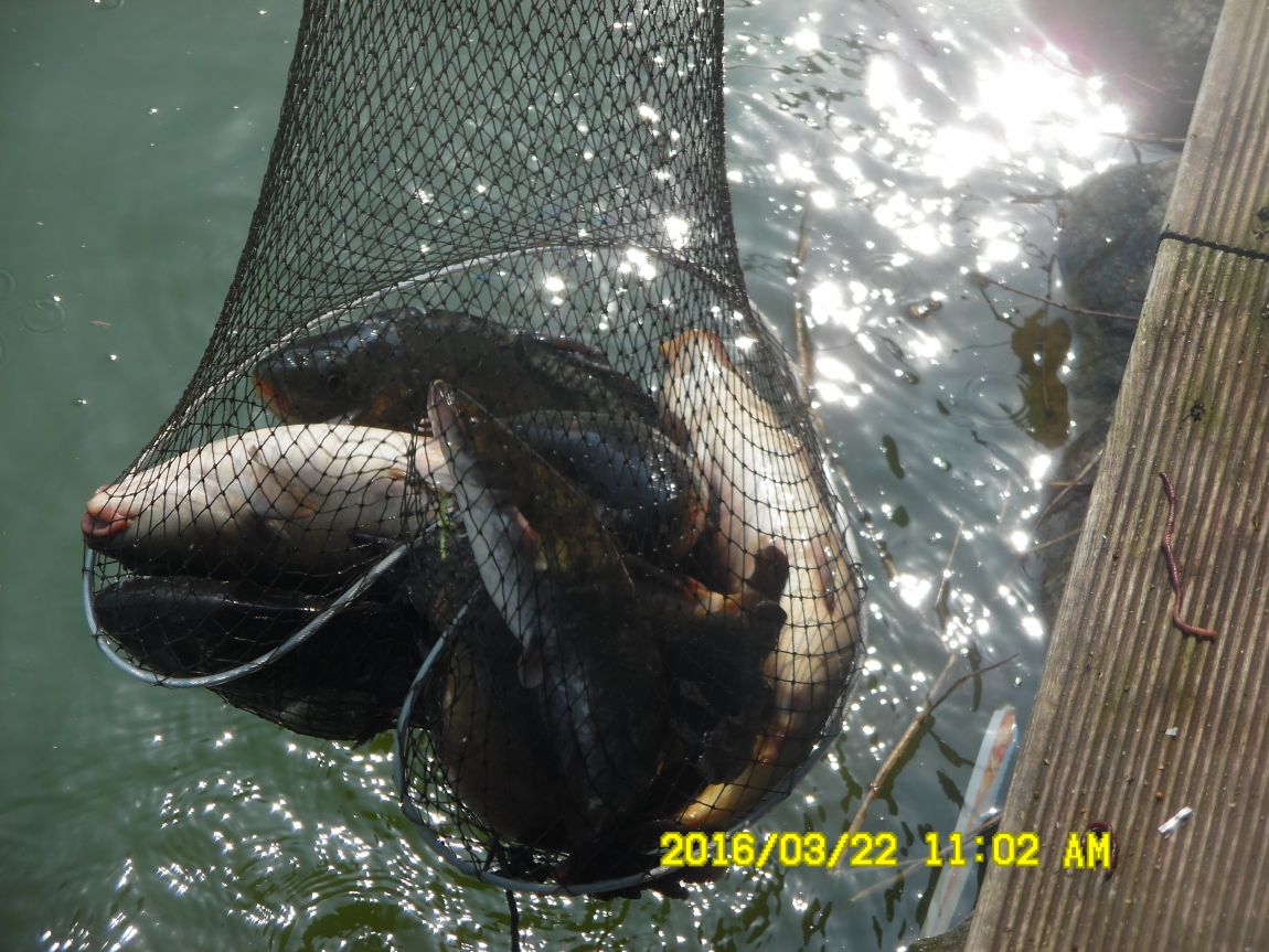 3��24�� 005.JPG