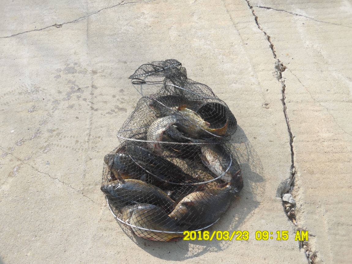 3��24�� 007.JPG