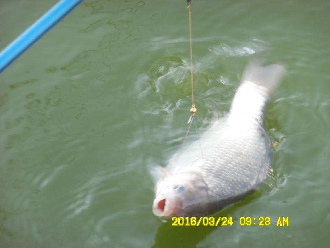 3��24�� 010.JPG