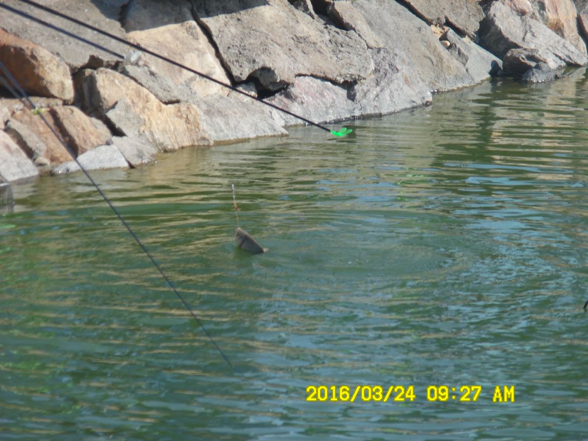 3��24�� 013.JPG