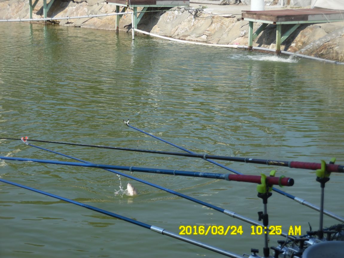 3��24�� 018.JPG