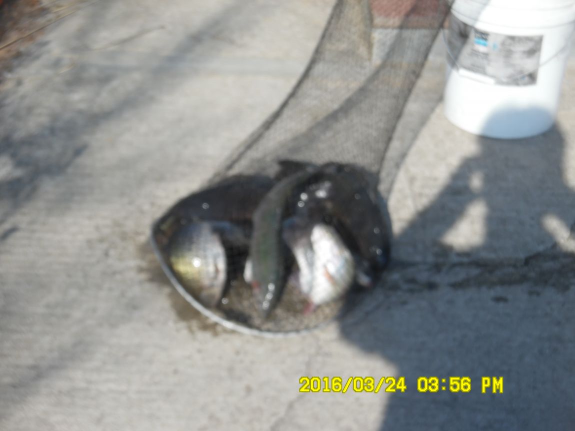 3��24�� 025.JPG