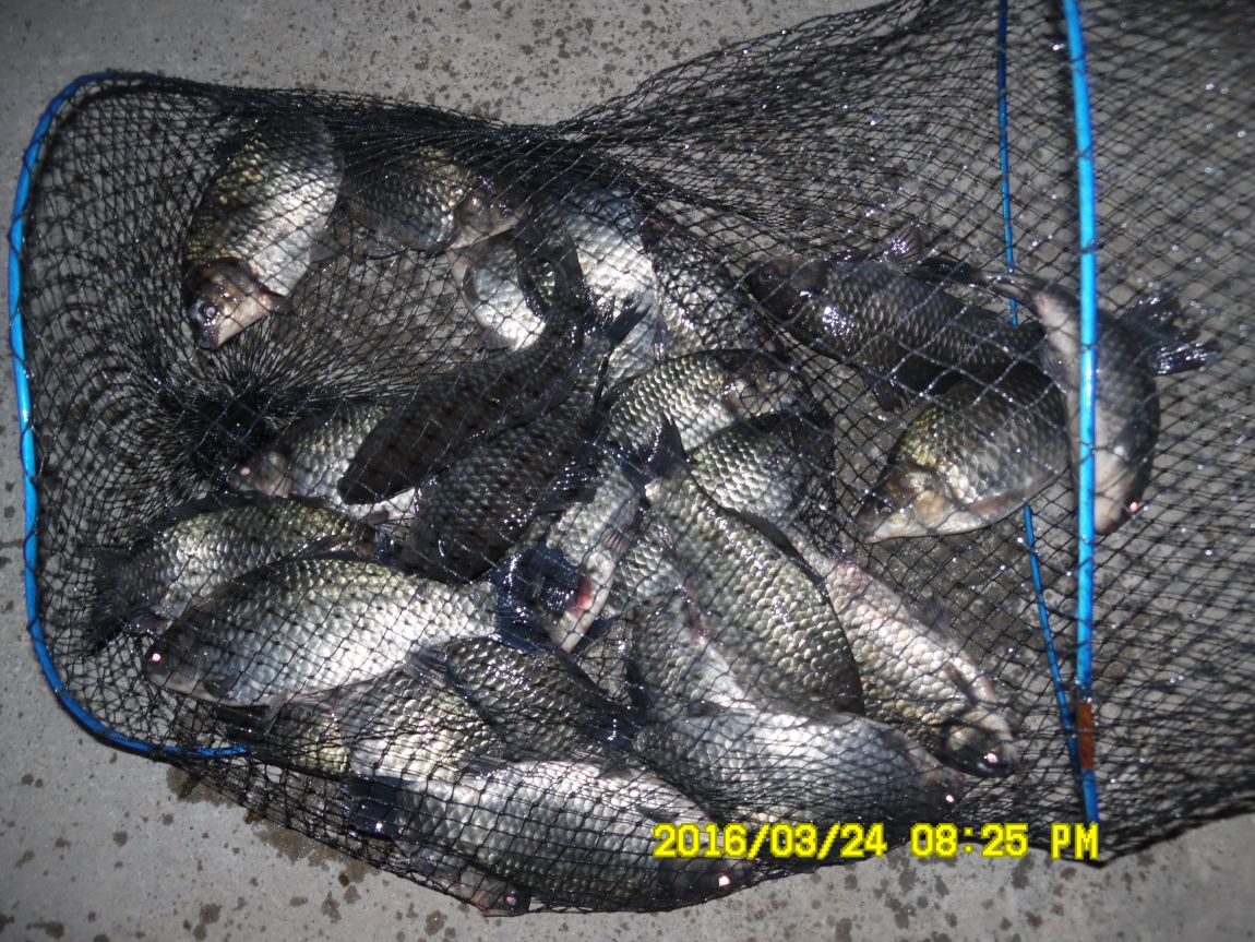 3��24�� 027.JPG