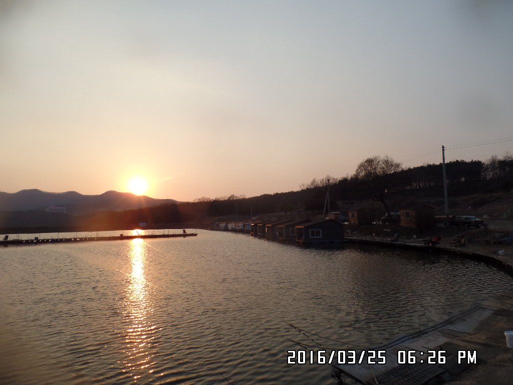 SAM_3914.JPG