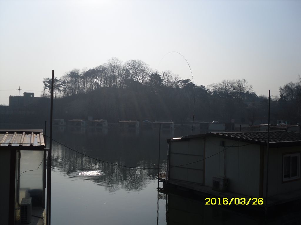 SDC10173.JPG