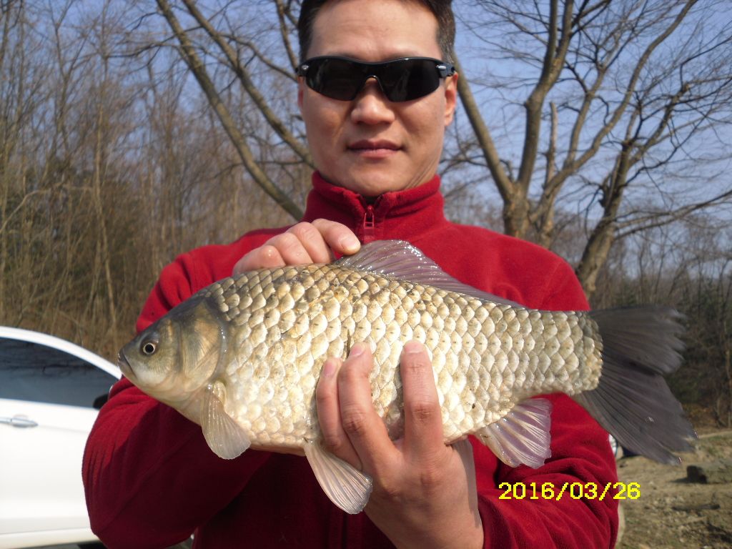 SDC10181.JPG