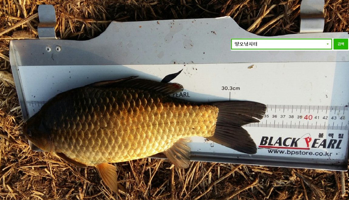 3�� 27�� 35cm.jpg1.png