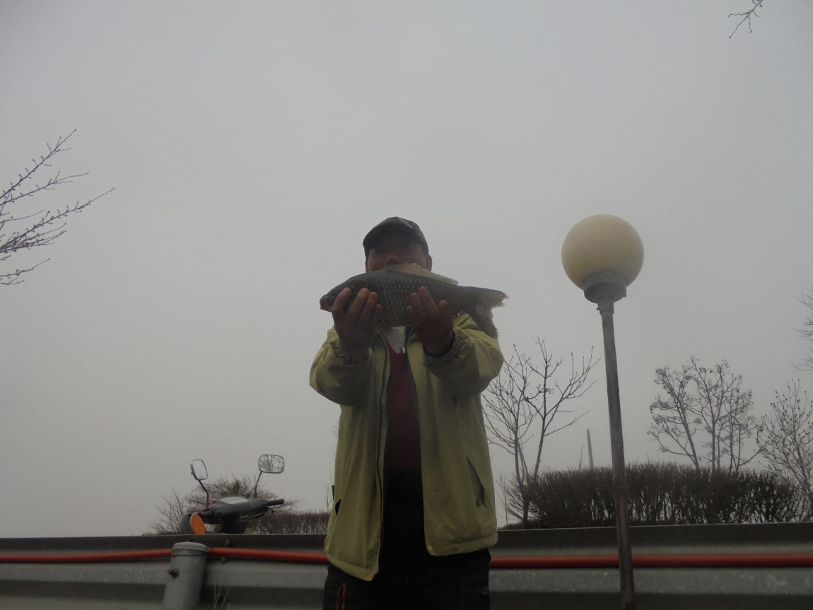 DSC02034.JPG