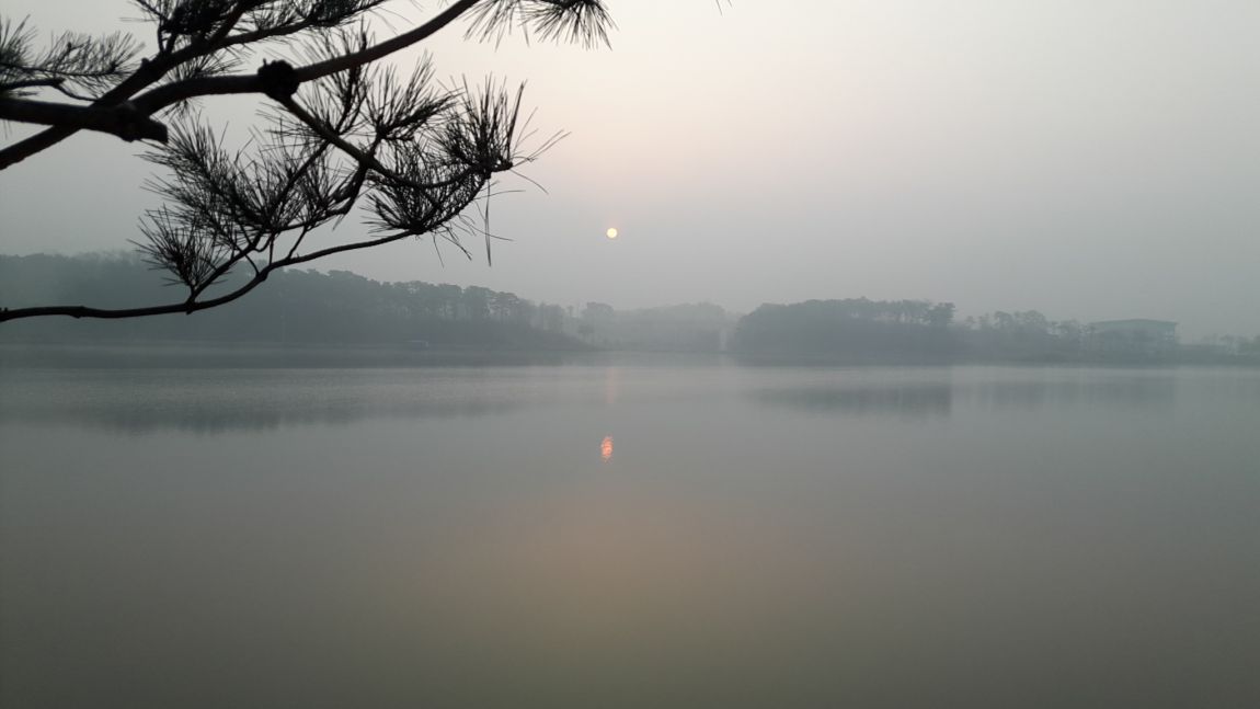 20160330_065230.jpg