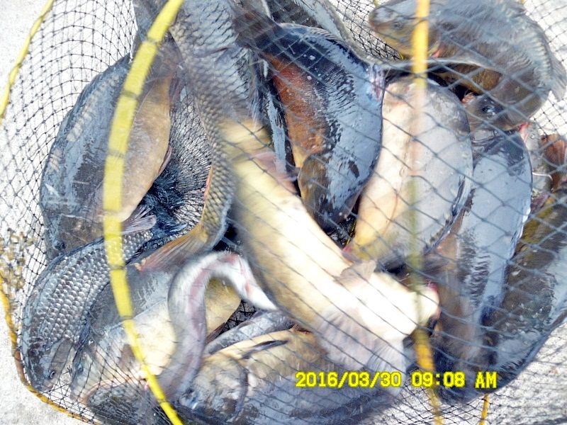 3��30�� 022.JPG