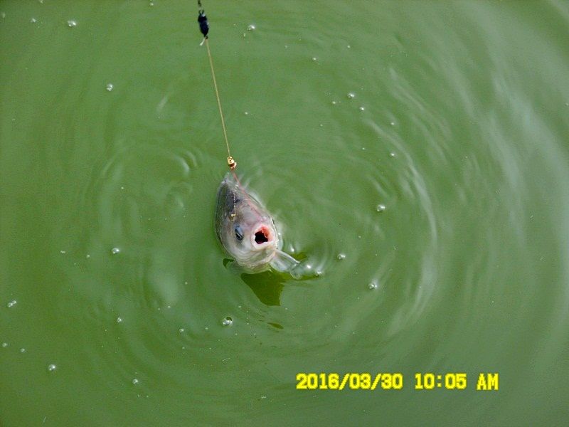 3��30�� 024.JPG