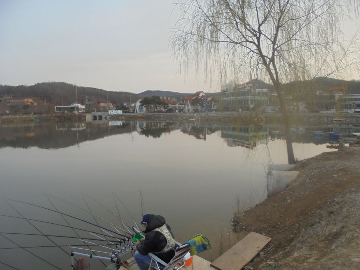 DSC02050.JPG