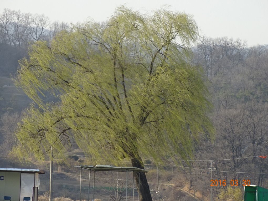 ϰ_DSC02777.JPG