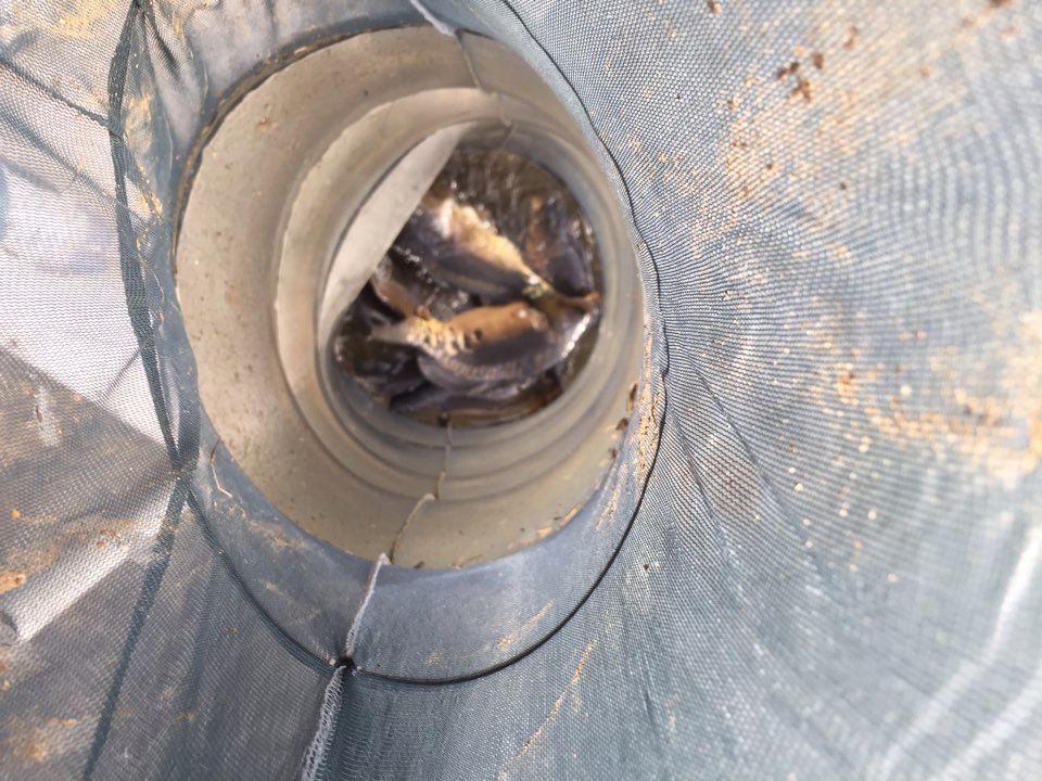 KakaoTalk_20160331_095317378.jpg