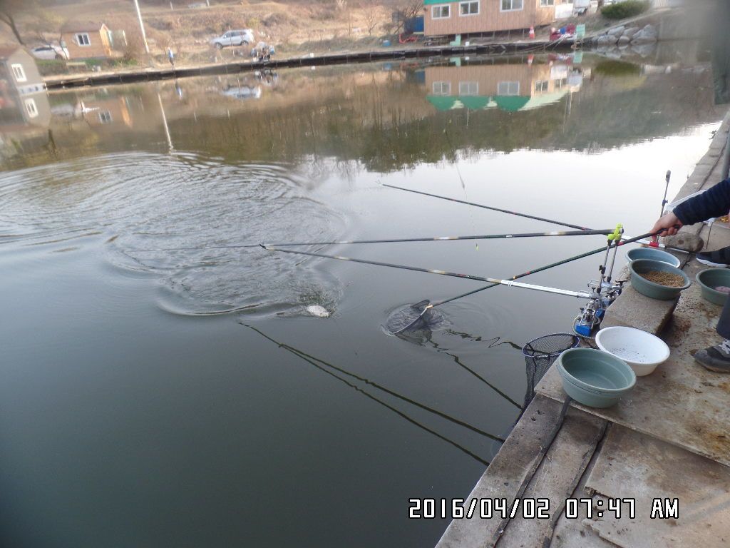 SAM_4153.JPG