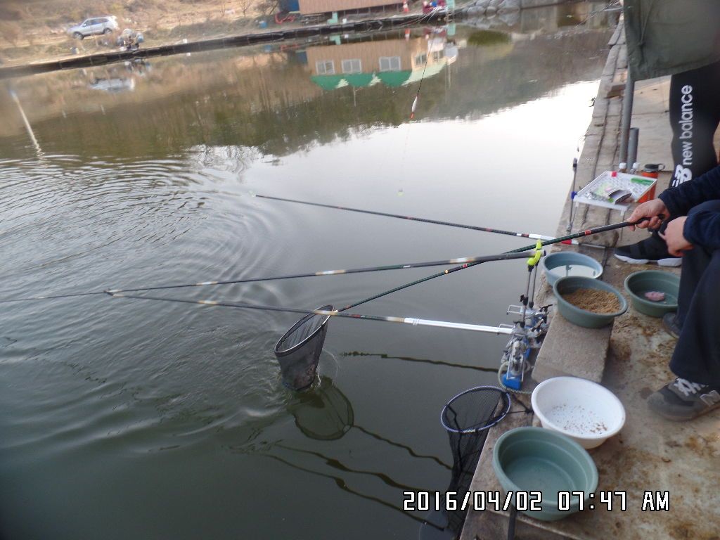 SAM_4154.JPG
