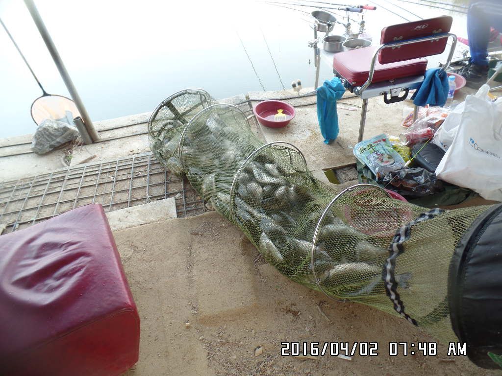 SAM_4159.JPG