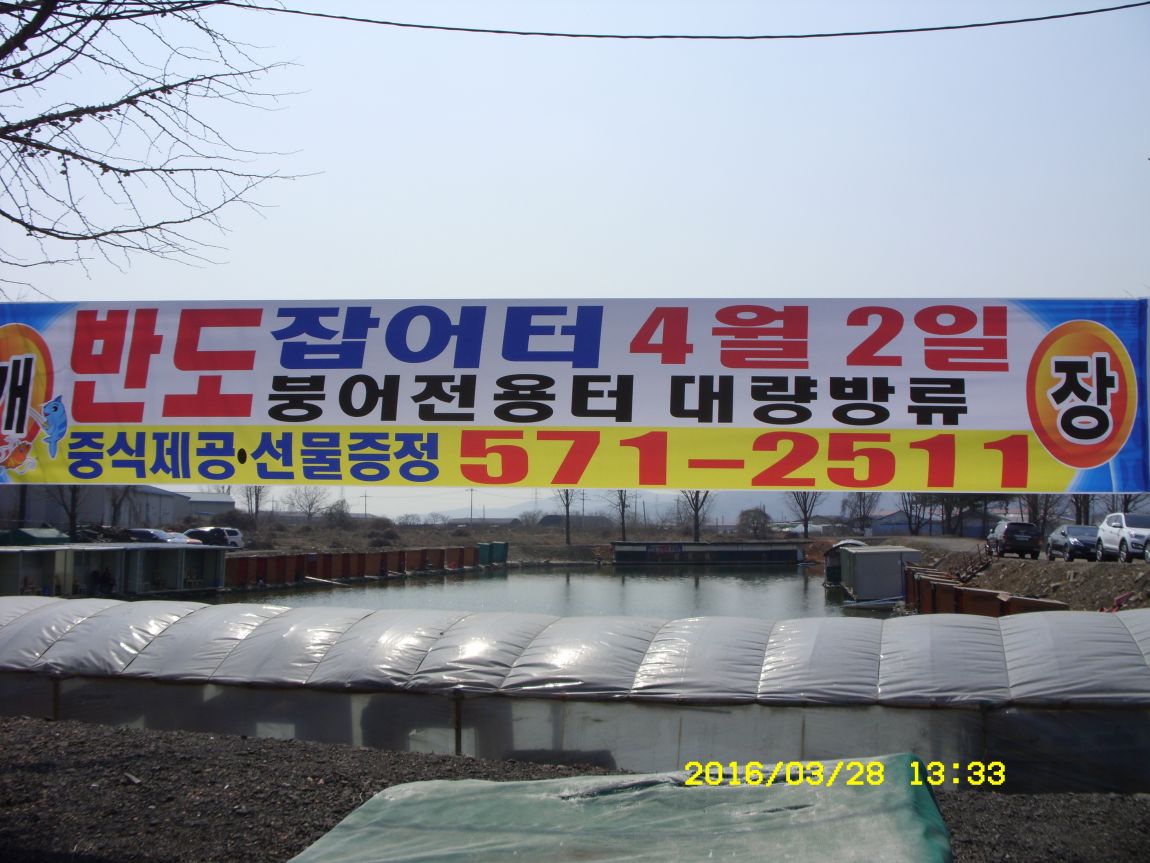 SDC16018.JPG
