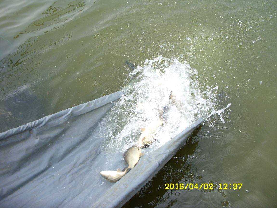 SDC16086.JPG