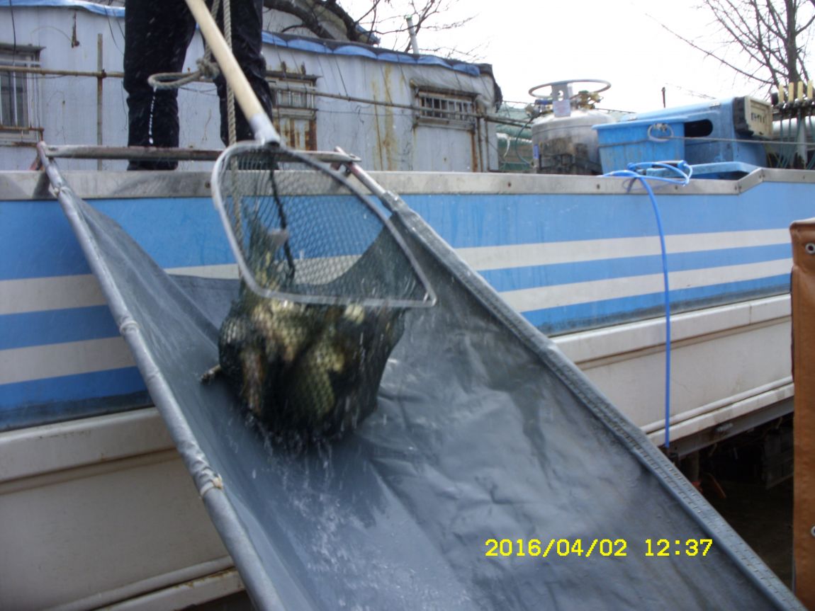SDC16087.JPG