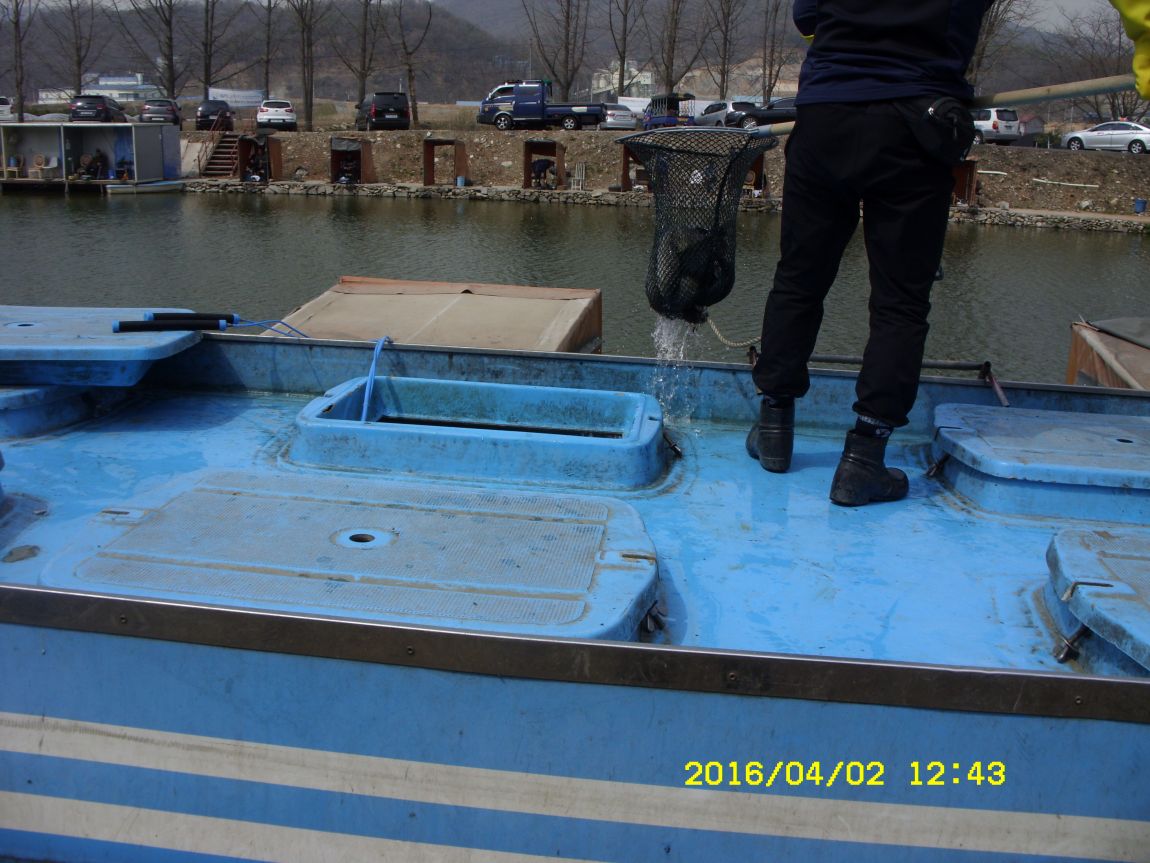 SDC16097.JPG