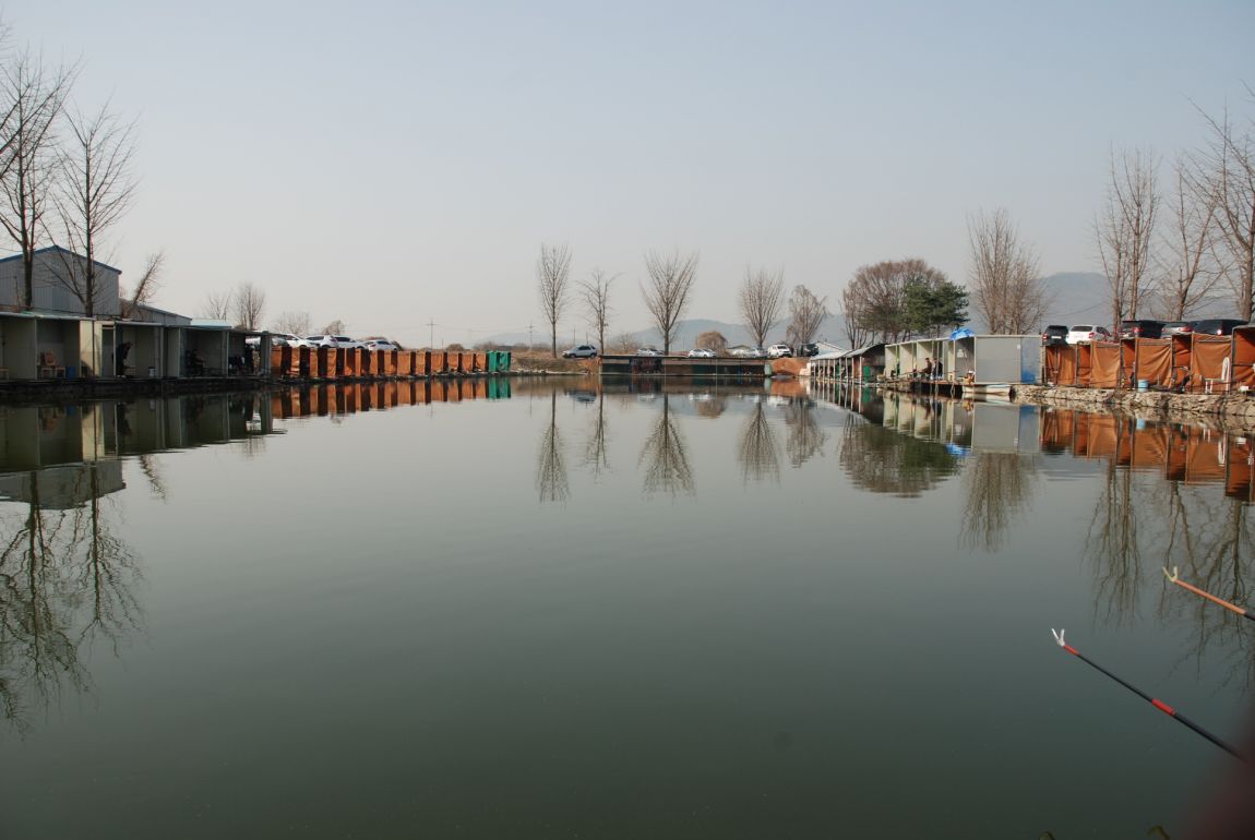DSC_5471.JPG