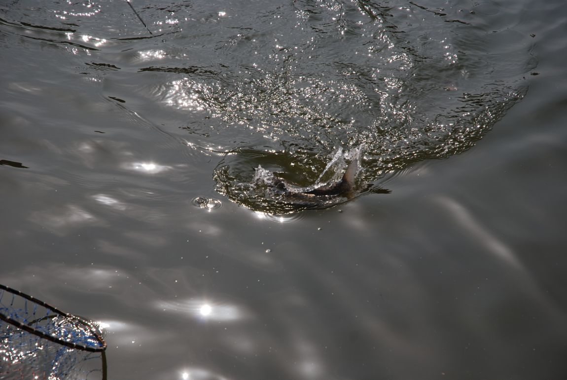 DSC_5493.JPG