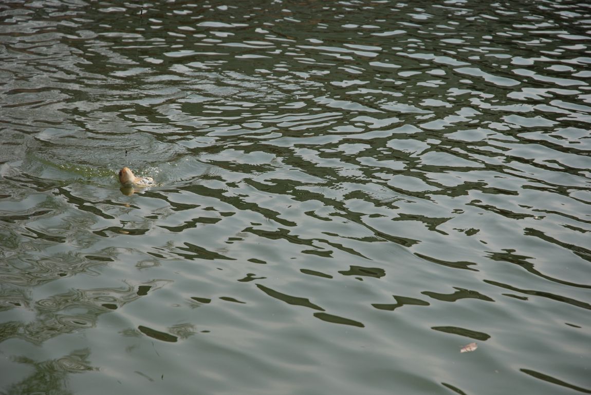 DSC_5577.JPG