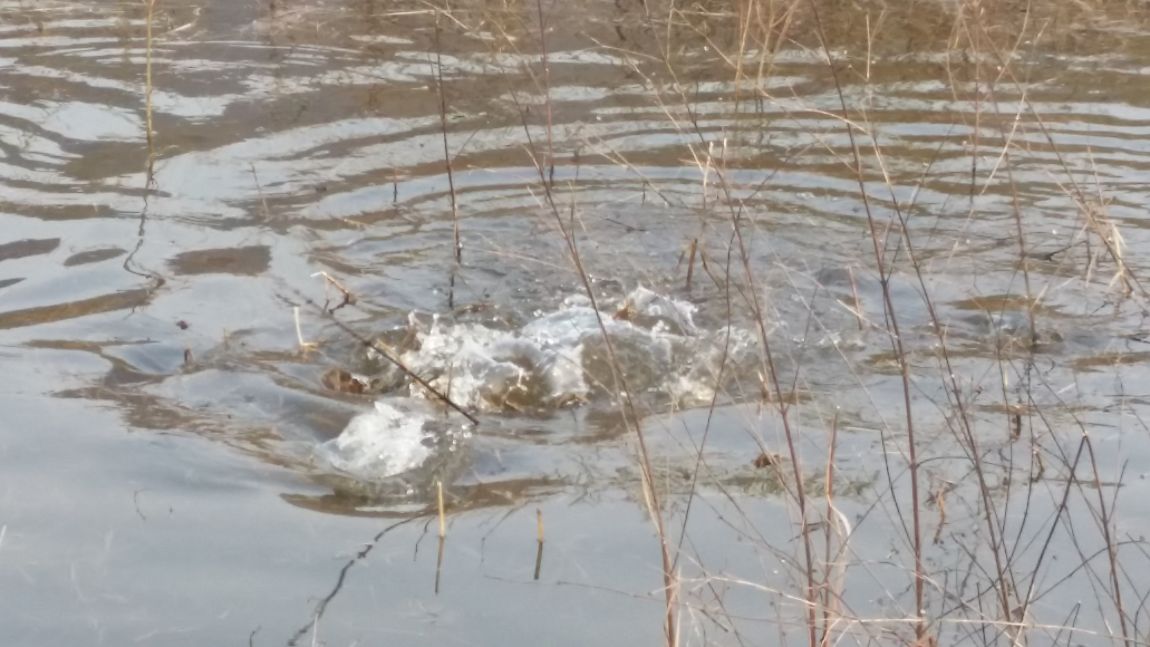 20160401_164729.jpg