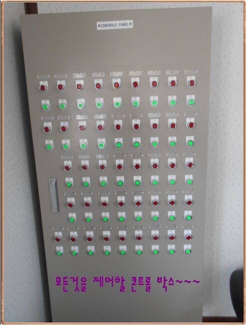 ٹ̱_DSCN0831.JPG