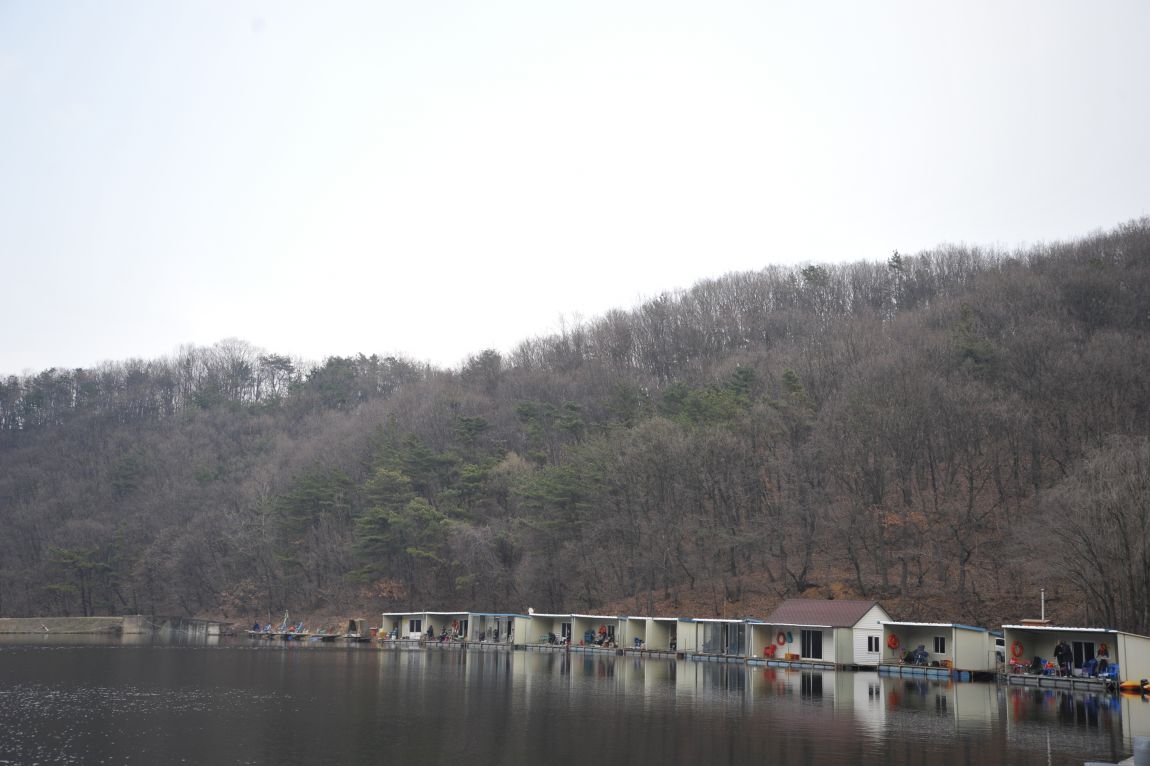DSC_2596.JPG