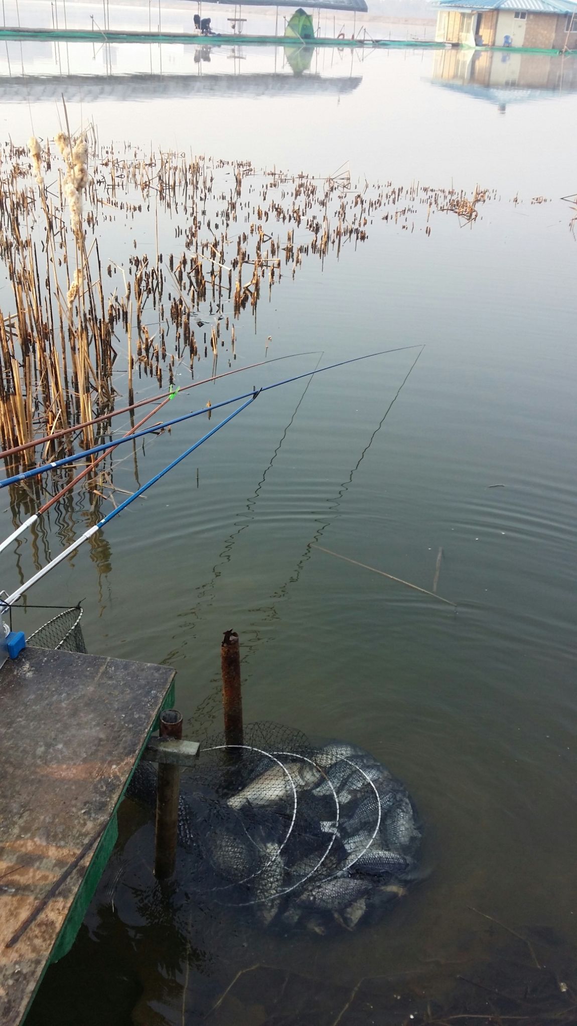 20160327_074912.jpg