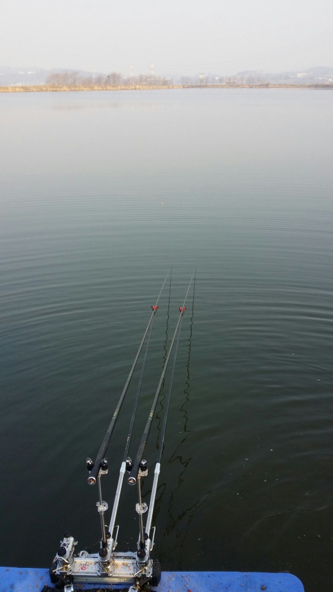 20160327_081435_2.jpg