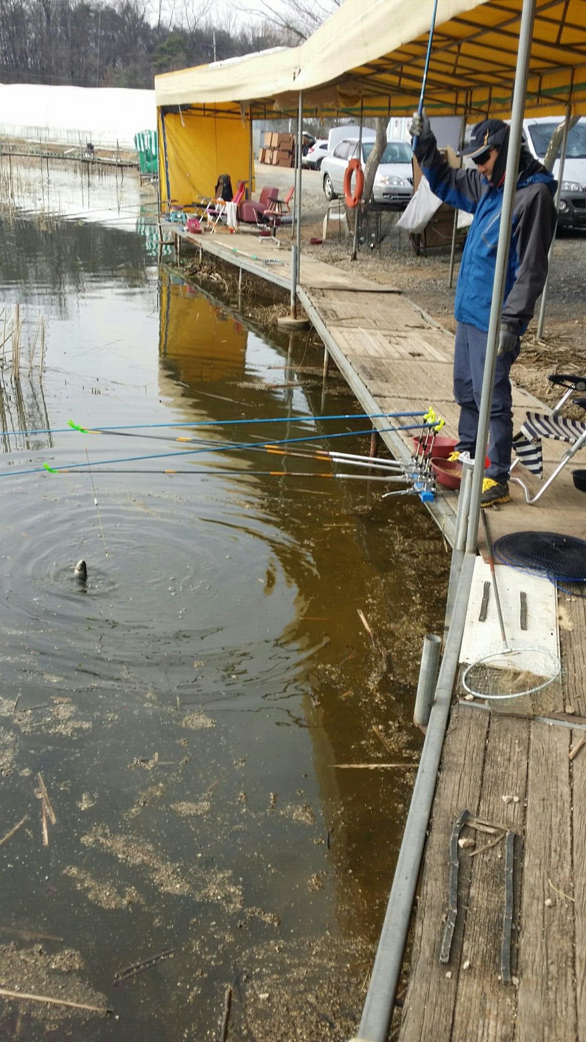 20160401_153053.jpg