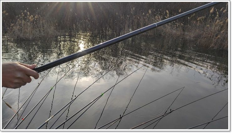 20160317_173803_HDR.jpg