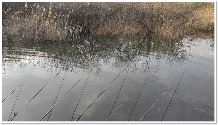 20160317_173755_HDR.jpg