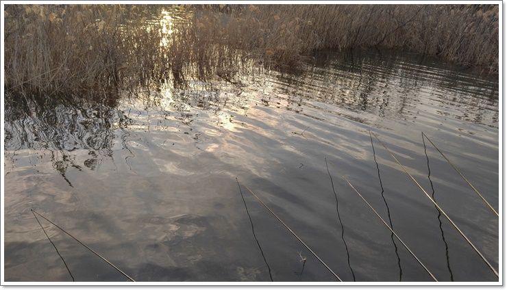20160317_175233_HDR.jpg
