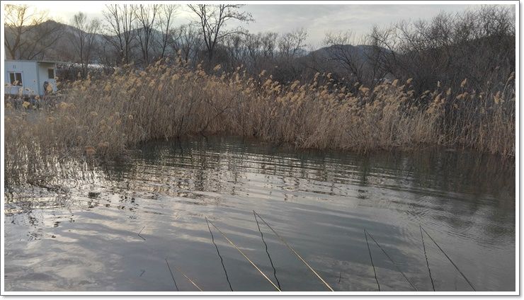 20160317_175237_HDR.jpg
