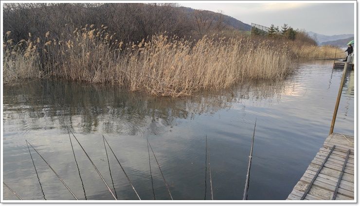 20160317_175248_HDR.jpg