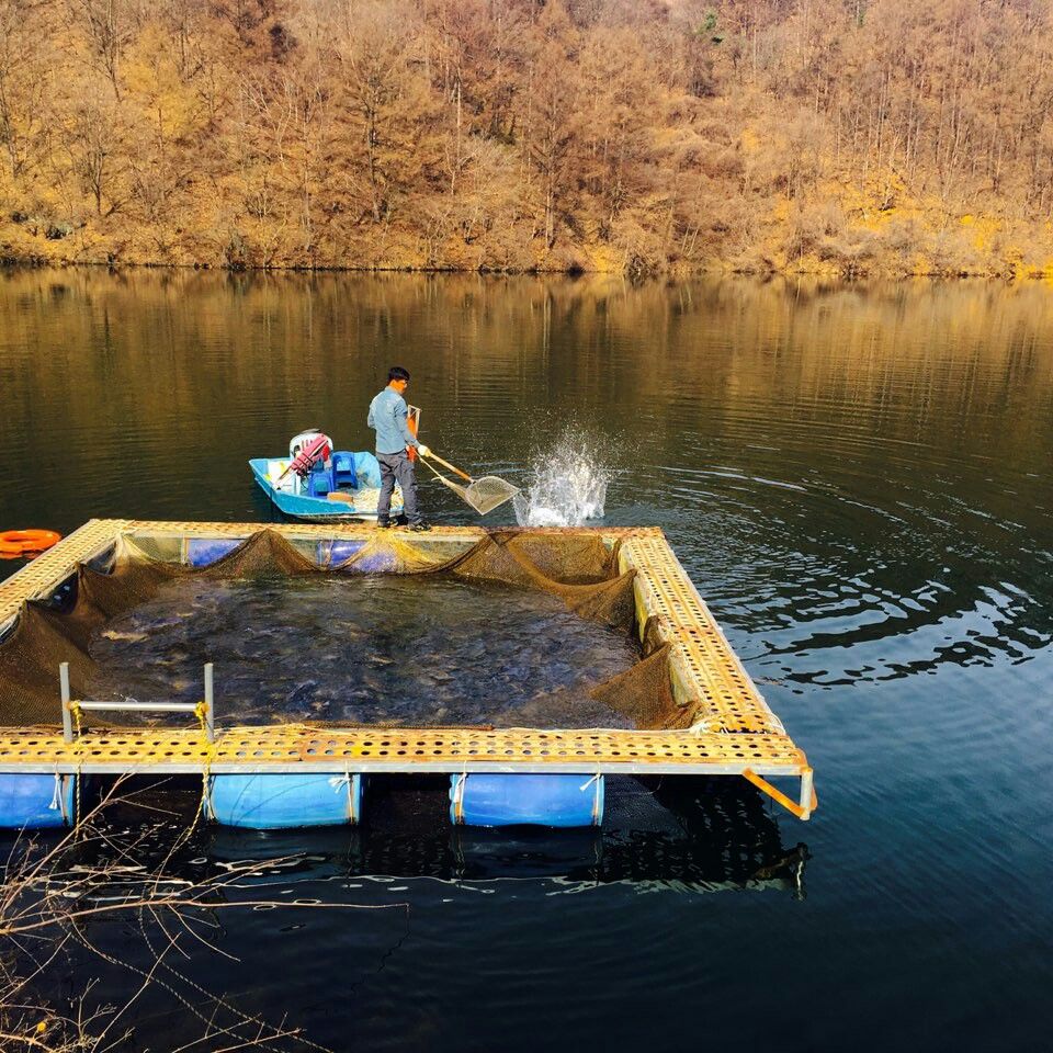 ���� 002.jpg